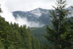 PICTURES/Marymere Falls and Hurricane Ridge Road/t_Mist Rising7.JPG